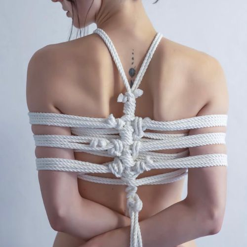 workshop-carrossel-2